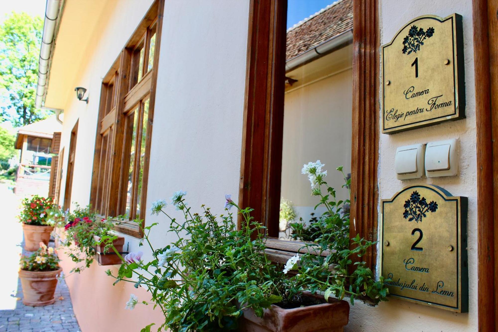 Hotel Casa Agora Cisnădioara Exterior foto